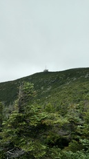 Cannon Summit from Kinsman Ridge Trail, Cannon Mountain (New Hampshire) photo