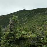 Cannon Summit from Kinsman Ridge Trail, Cannon Mountain (New Hampshire)
