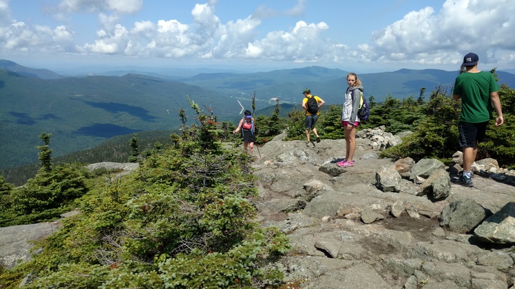 Mt. Jackson summit, Mount Jackson (New Hampshire)
