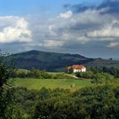 Medvednik