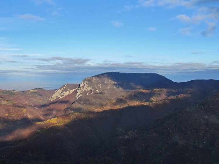 Medvednik