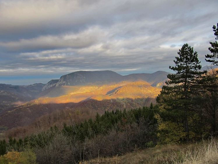 Medvednik weather