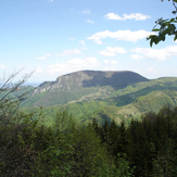 Medvednik