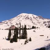 Heading up from Paradise, Mount Rainier