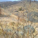 Paiz, Kolakchal