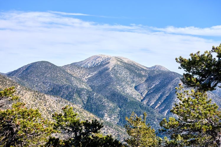 Old Greyback, San Gorgonio