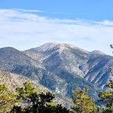 Old Greyback, San Gorgonio