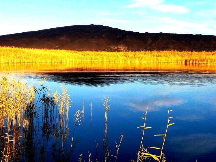 naser ramezani Gavkhooni wetland, Sofeh