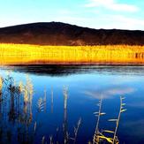 naser ramezani Gavkhooni wetland, Sofeh