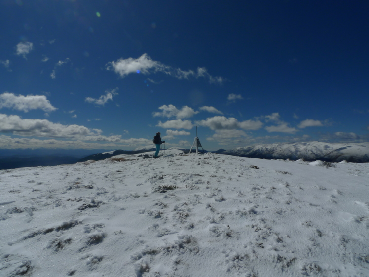 Beebys Knob Summit Trig