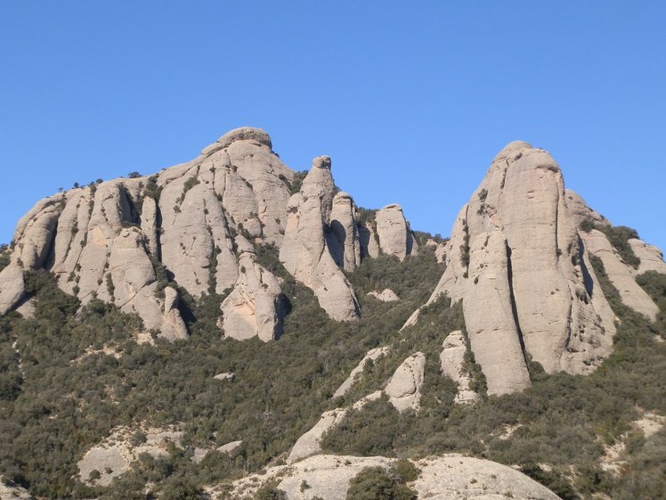 L'Albarda Castellana, Montserrat (mountain)