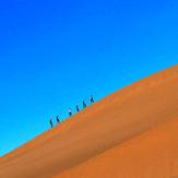 naser ramezani maranjab desert, Karkas