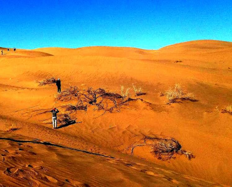 naser ramezani baadrood desert, Karkas