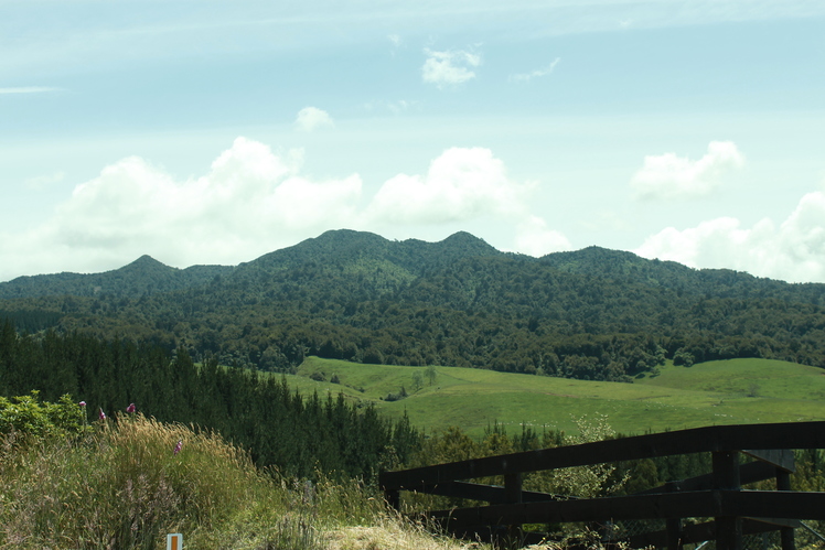 View SW, Pirongia Mountain