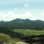 View SW, Pirongia Mountain