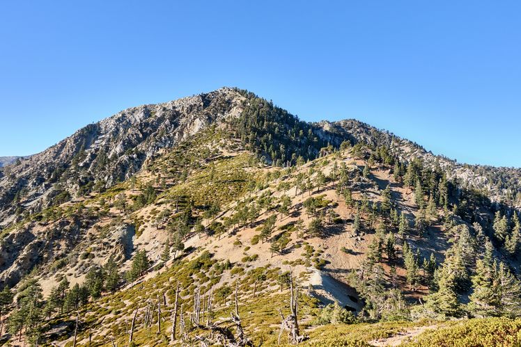 Telegraph Peak, Telegraph Peak (California)