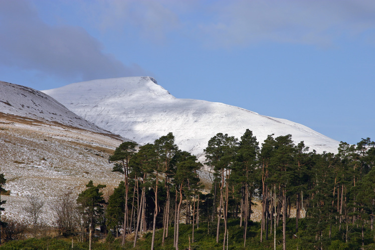 Above the Trees, Pen Y Fan