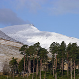 Above the Trees, Pen Y Fan