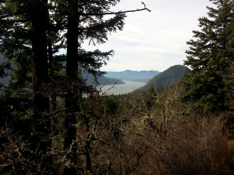 View of Wind Mountain, Dog Mountain