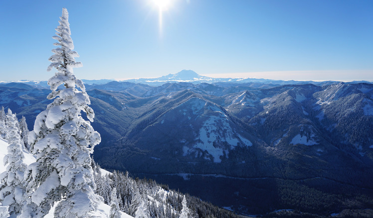 Mt. Rainier from Bandera Mountain