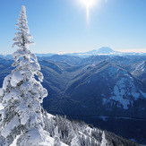 Mt. Rainier from Bandera Mountain