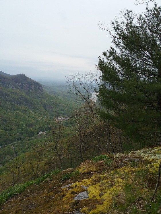 Bluerock Mountain (North Carolina)