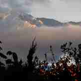 Oranges under Cucamonga Peak