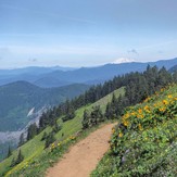 Augspurger Trail with Mt. St. Helens in background, Dog Mountain