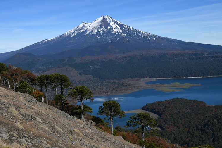 VOLCAN LLAIMA Y LAGO CONGUILLIO