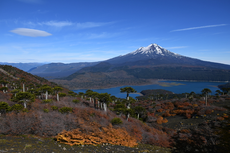 VOLCAN LLAIMA Y LAGO CONGUILLIO