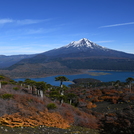 VOLCAN LLAIMA Y LAGO CONGUILLIO