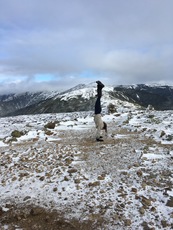 Finding Balance on Mount Eisenhower photo