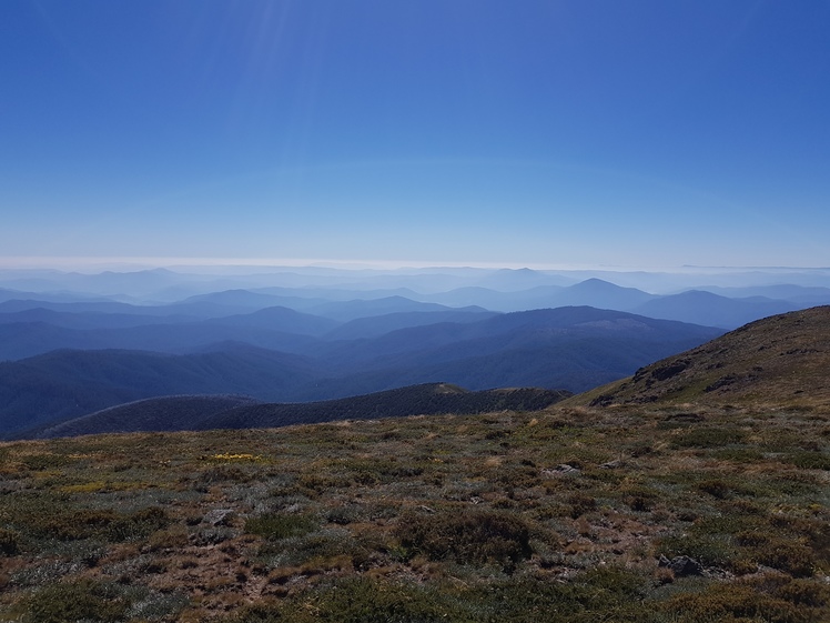 Mount Bogong