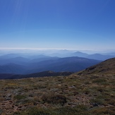 Mount Bogong