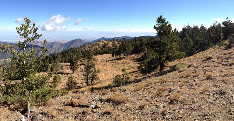 Mt. Pinos Summit Facing NE, Mount Pinos