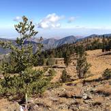 Mt. Pinos Summit Facing NE, Mount Pinos