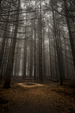 Lonely Picnic, Barrington Tops photo