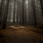 Lonely Picnic, Barrington Tops