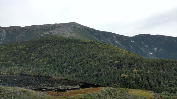 Lafayette from Greenleaf Hut, Mount Lafayette