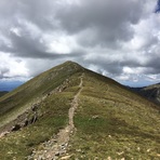 Last stretch on Bull of the Woods Trail, Wheeler Peak