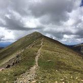 Last stretch on Bull of the Woods Trail, Wheeler Peak