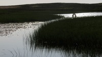 Source of the river Lugg SSSI, Beacon Hill, Powys photo