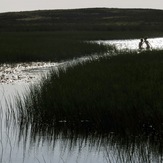 Source of the river Lugg SSSI, Beacon Hill, Powys