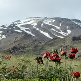 Damavand, Damavand (دماوند)