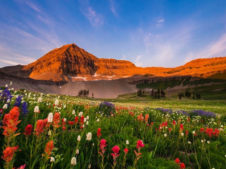 Mount Timp hike, Mount Timpanogos