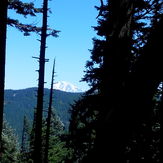 View of Mt. Adams, Dog Mountain