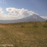 Azoo wold, Damavand (دماوند)