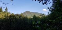 owl's head, Owl's Head (Franconia, New Hampshire) photo