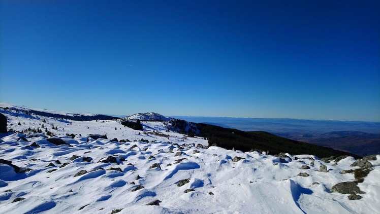 Vitosha