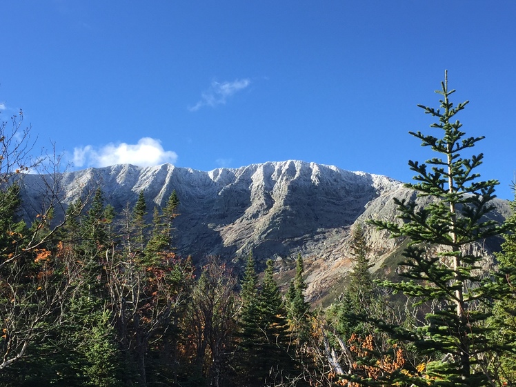 Frosty Tips, Mount Katahdin